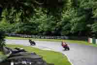 cadwell-no-limits-trackday;cadwell-park;cadwell-park-photographs;cadwell-trackday-photographs;enduro-digital-images;event-digital-images;eventdigitalimages;no-limits-trackdays;peter-wileman-photography;racing-digital-images;trackday-digital-images;trackday-photos